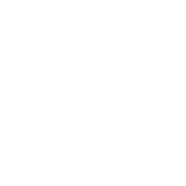 10+ Years Experience Badge